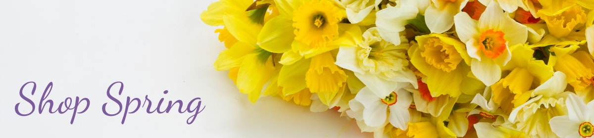 Beautiful Seasonal Flowers Banner